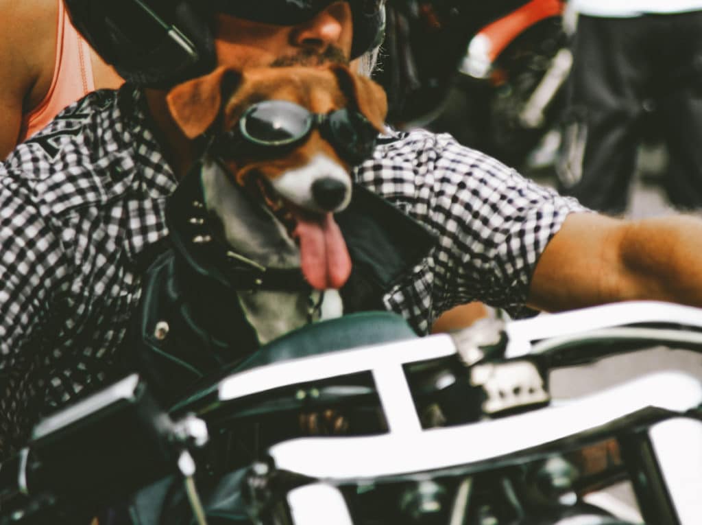 Motorcycle Safety Tips