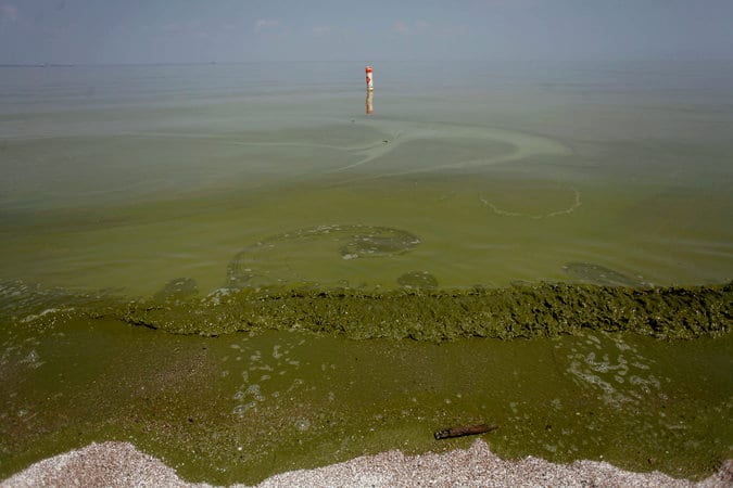 Toledo Water Crisis