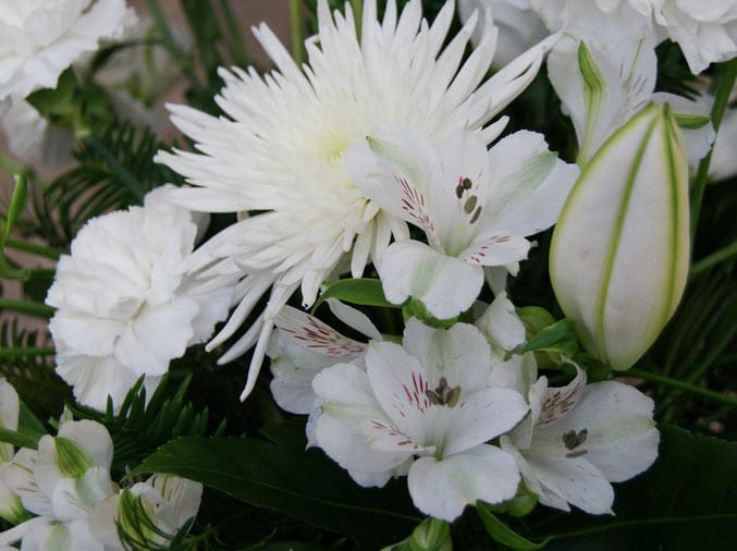 White flowers