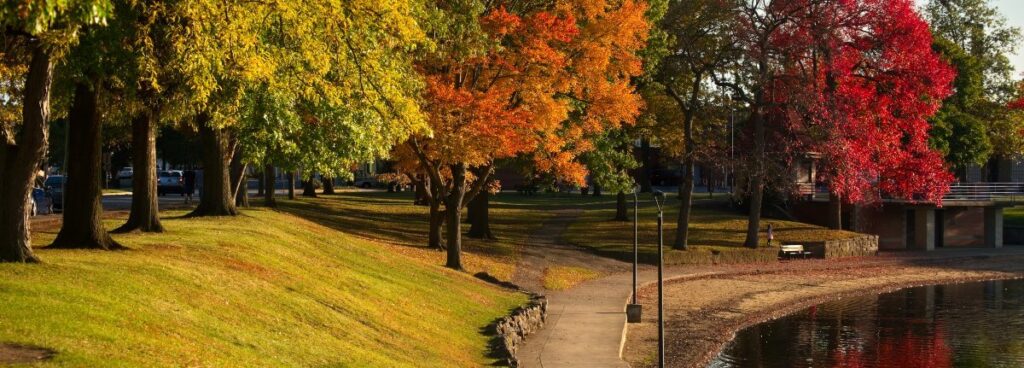 lake anna park during fall